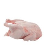 Daging Ayam Organik - Coming s-Soon