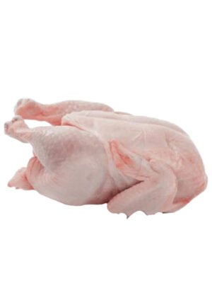Daging Ayam Organik - Coming s-Soon