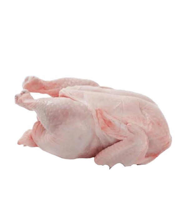 Daging Ayam Organik - Coming s-Soon