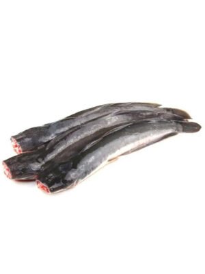 Ikan Keli - Coming Soon