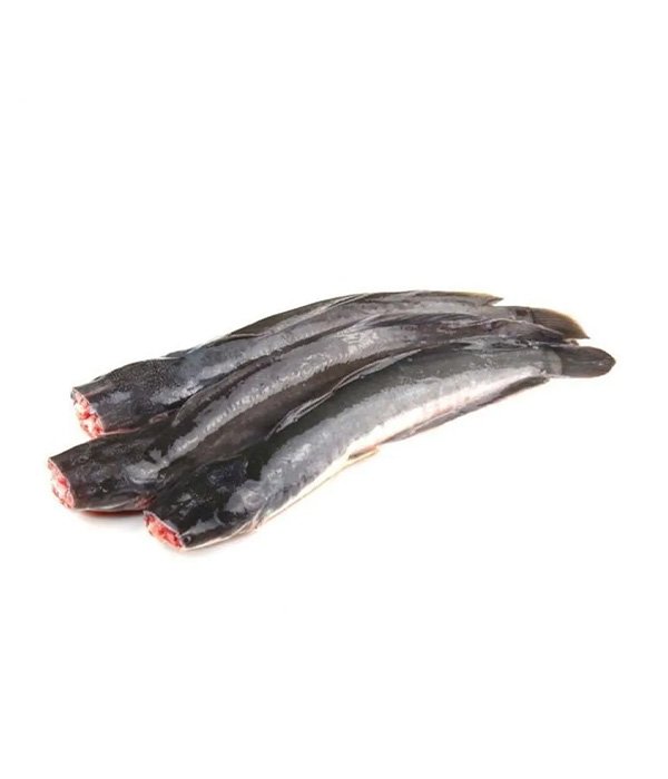 Ikan Keli - Coming Soon