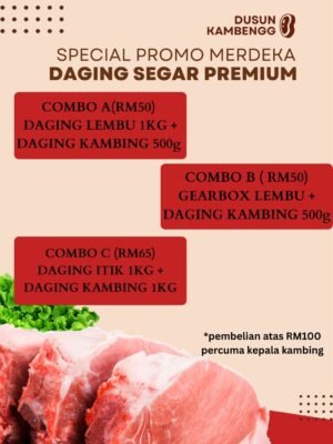 Special Promo Merdeka