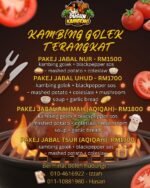 Kambing Golek Terangkat